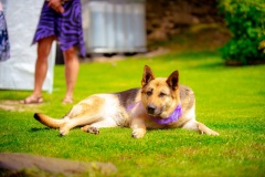 Katka-a-Lukas-2023-7